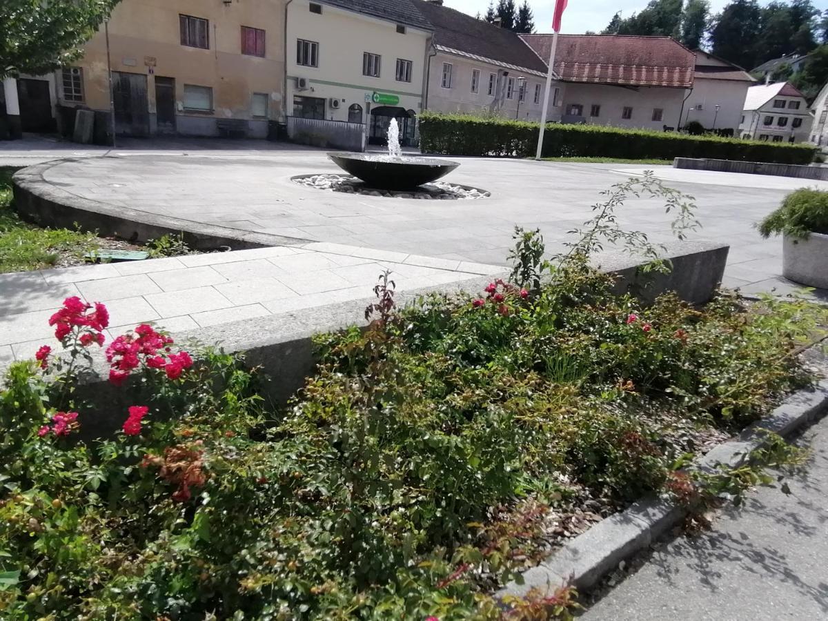 Apartments Bukor With Seasonal Pool Lukovica pri Domžalah المظهر الخارجي الصورة